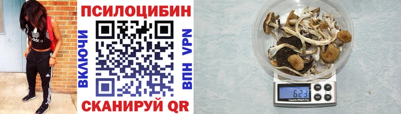 Галлюциногенные грибы прущие грибы  darknet Telegram  Благовещенск  mega ССЫЛКА 